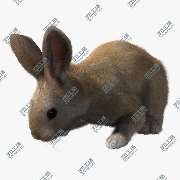 images/goods_img/20210312/Rabbit Cream (RIGGED) (FUR)/1.jpg
